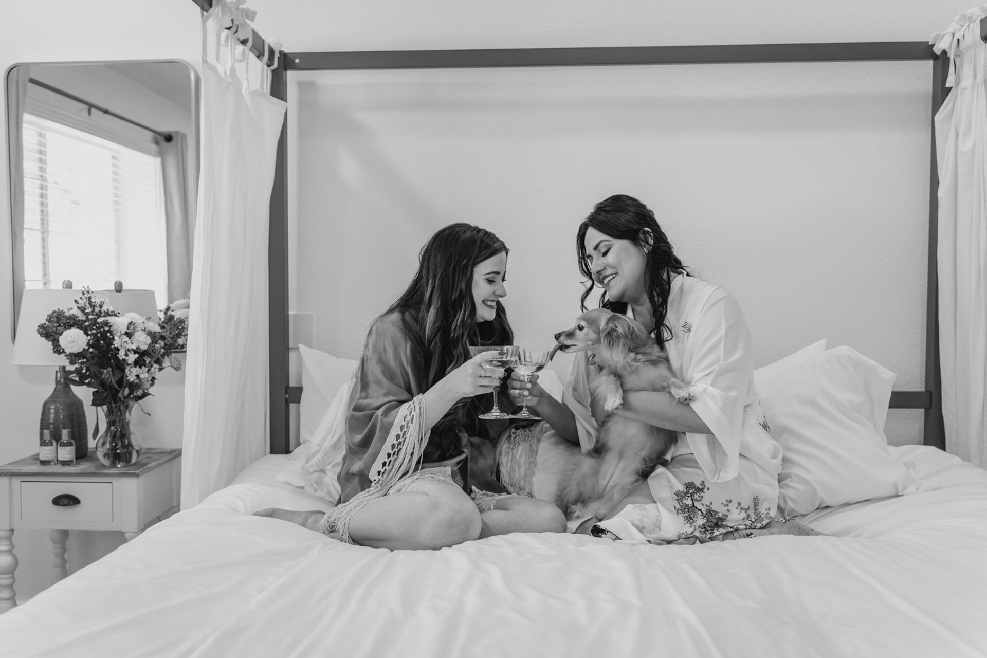 A cheers between the brides with their dog  — Joshua Tree Wedding Photographer 