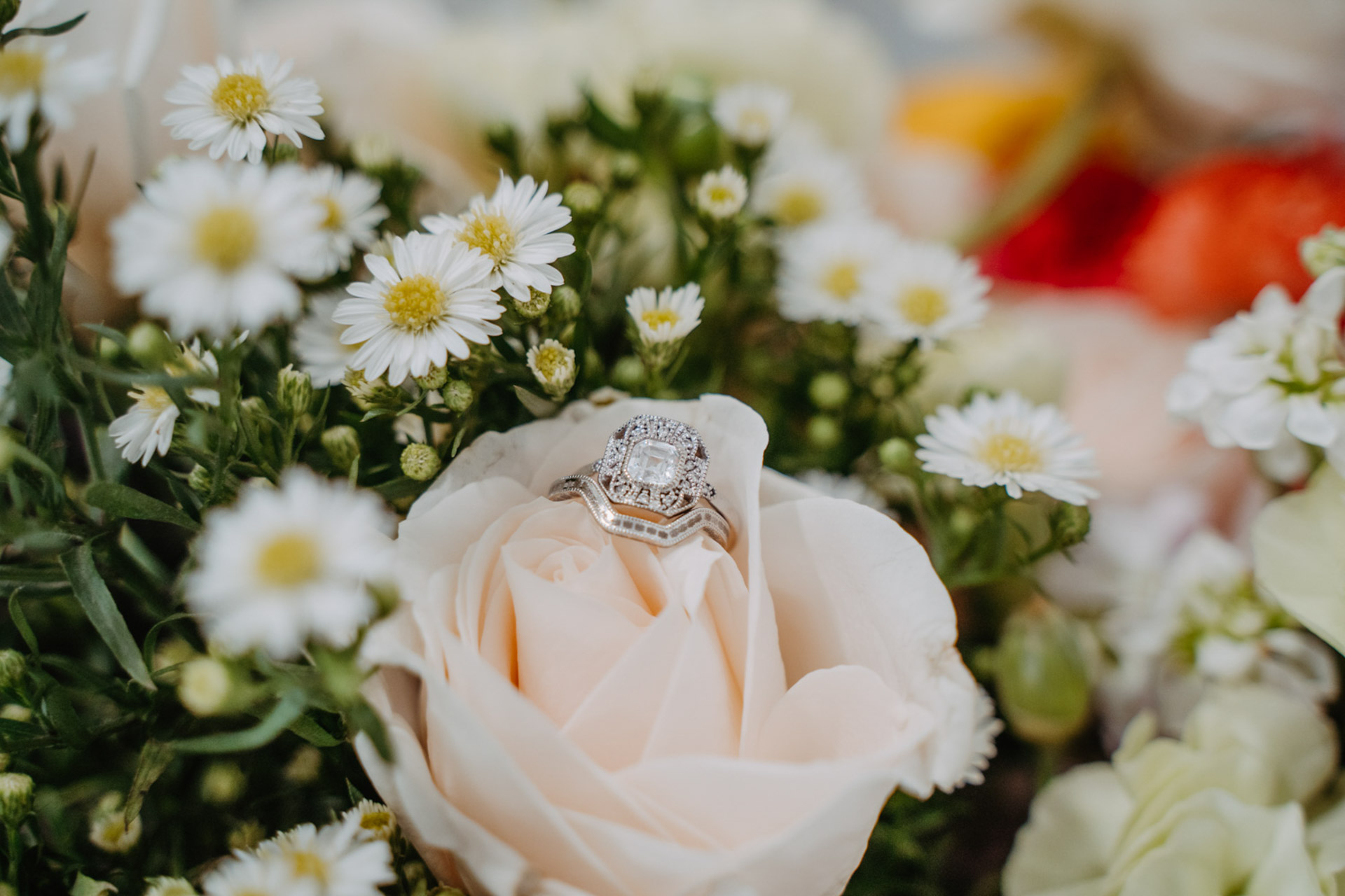 Wedding ring on a rose — Joshua Tree Wedding Photographer 