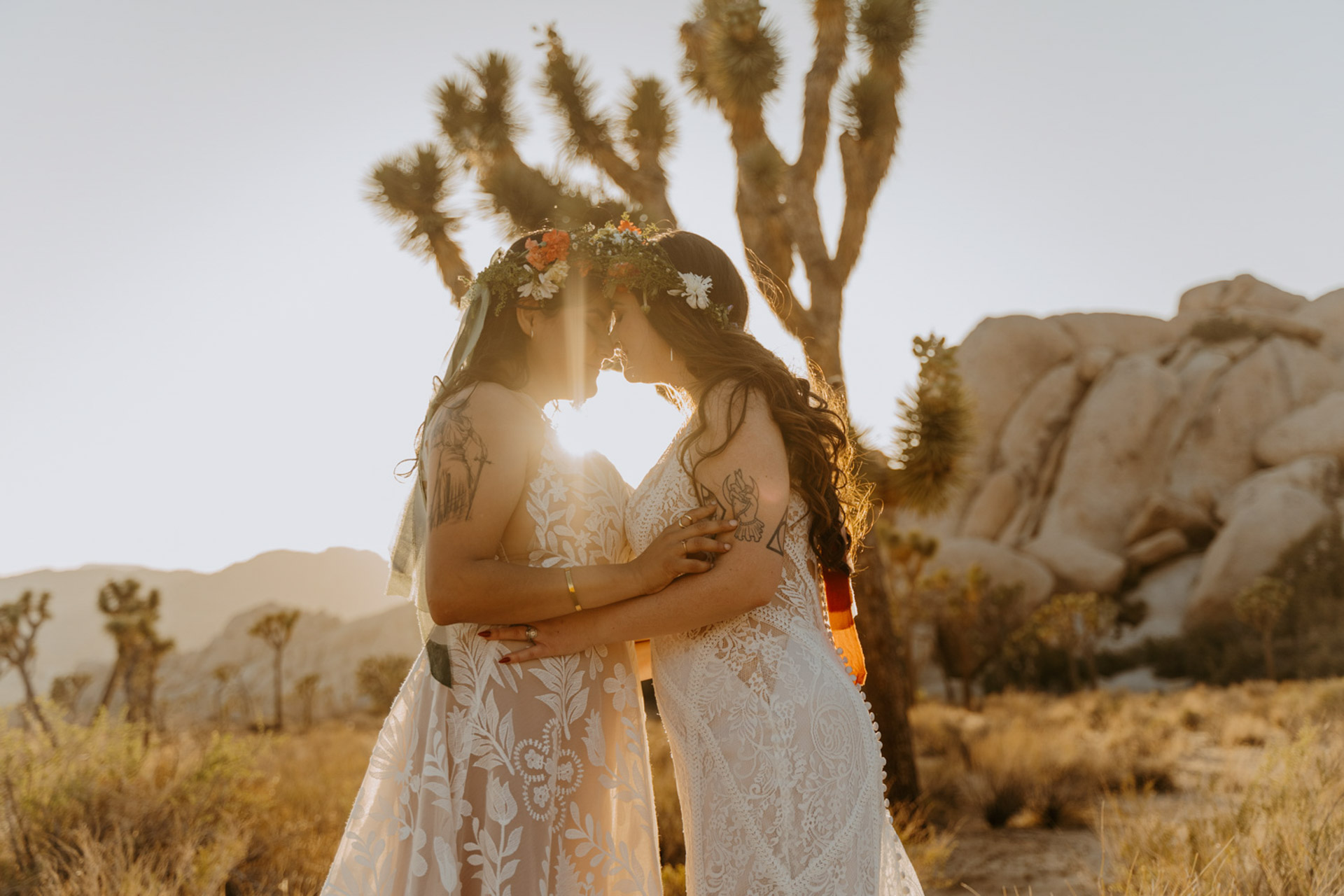 Brides touching foreheads with the Joshua Tree sun shining through — Joshua Tree Wedding Photographer