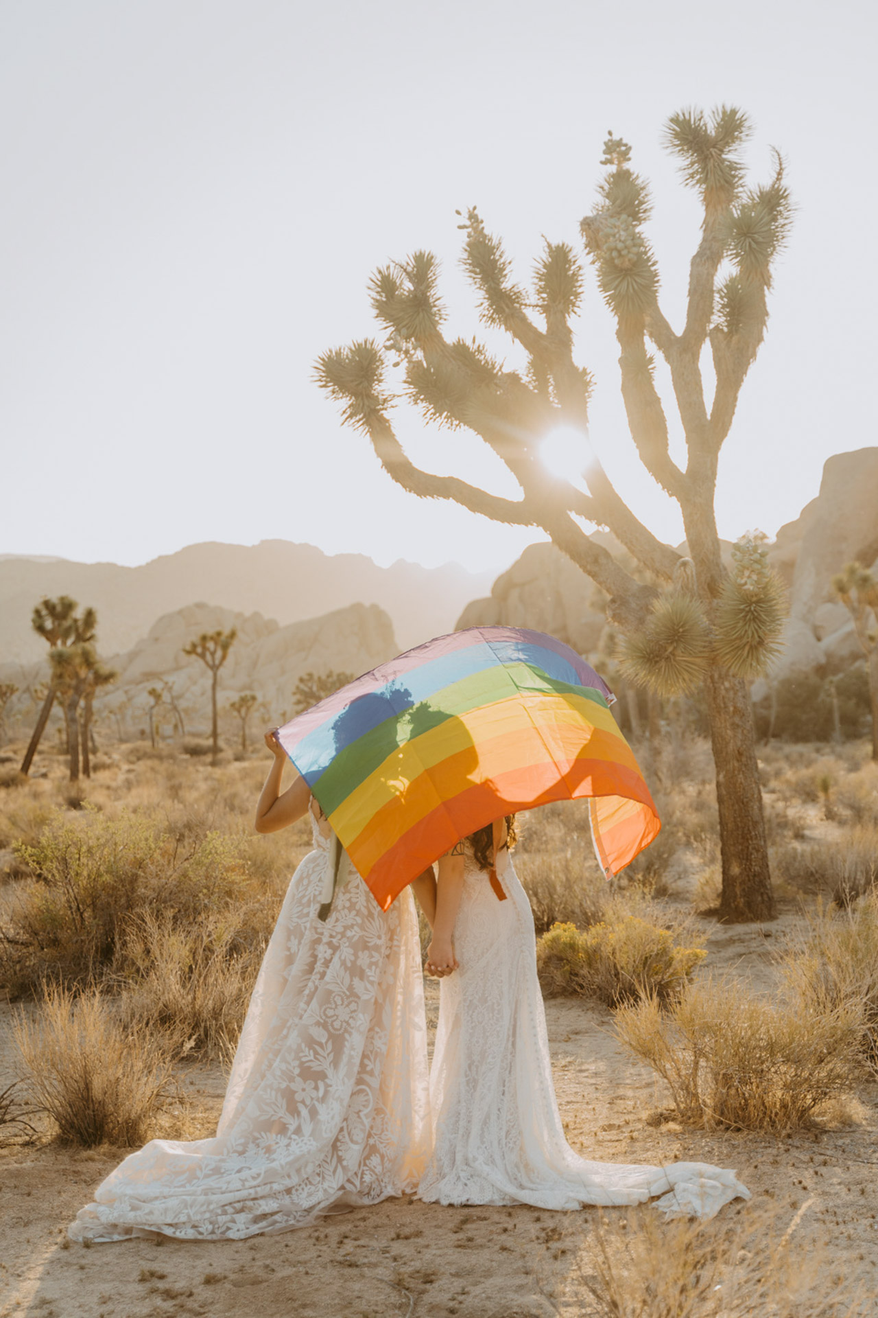 Beautiful photo of the newlyweds holding a Pride Flag — Joshua Tree Wedding Photographer